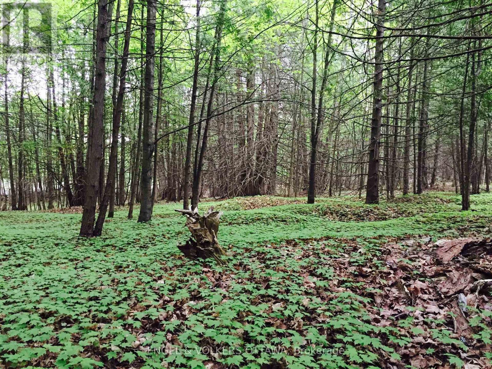 4637 Northwoods Drive