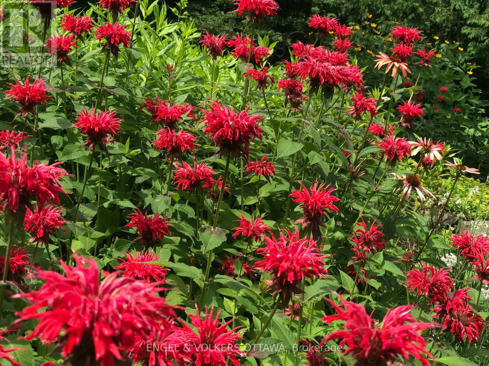 4637 Northwoods Drive