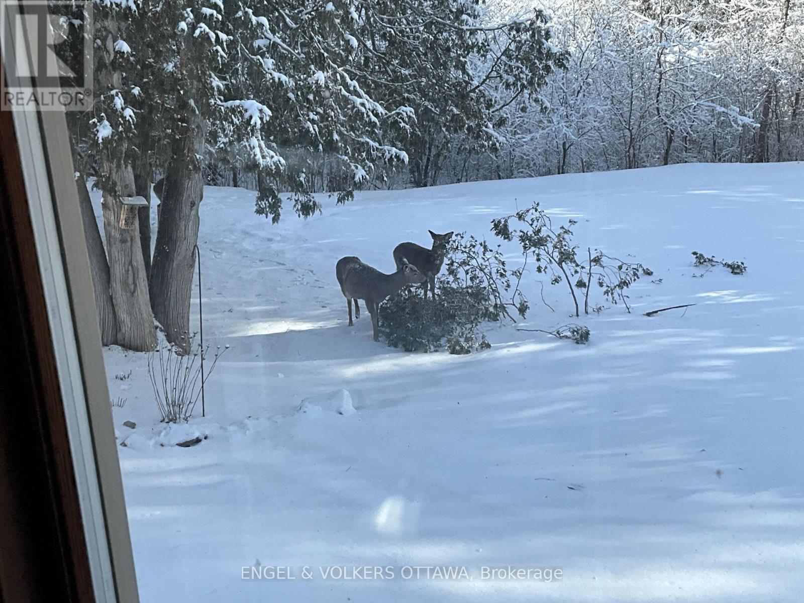 4637 Northwoods Drive