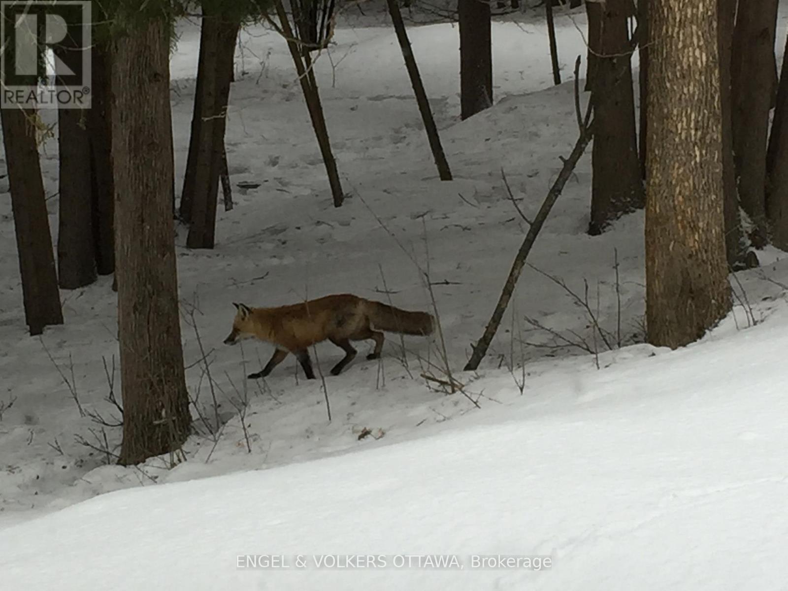 4637 Northwoods Drive