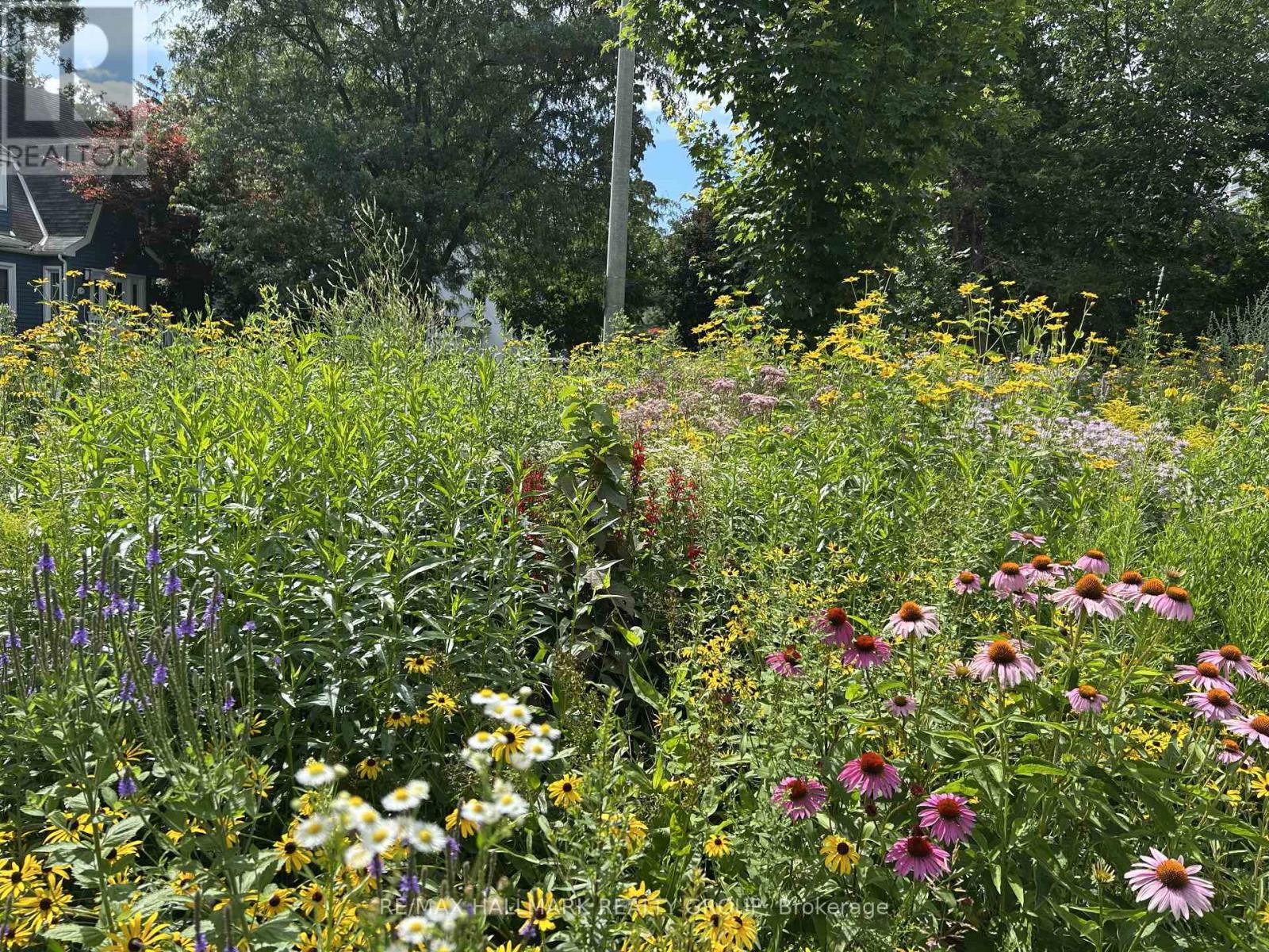 229 Greensway Avenue