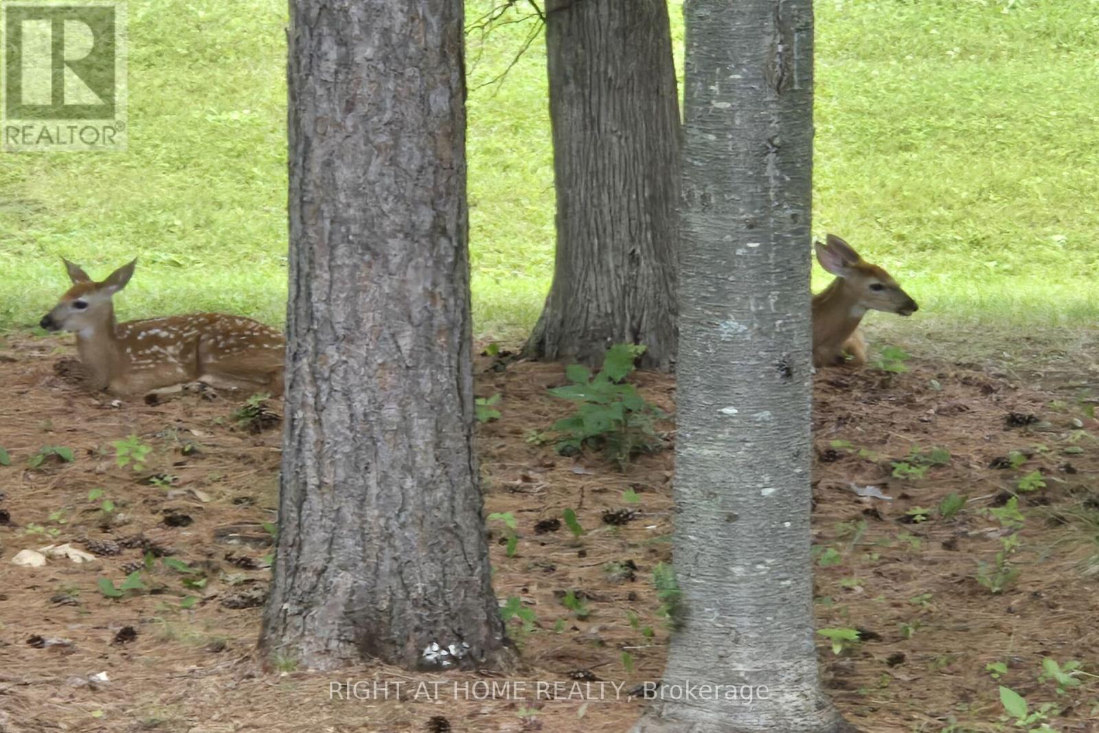 3616 Forestview Lane