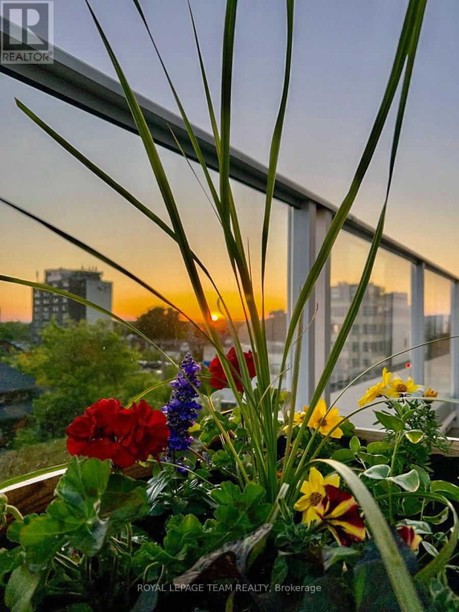 503 - 131 Holland Avenue