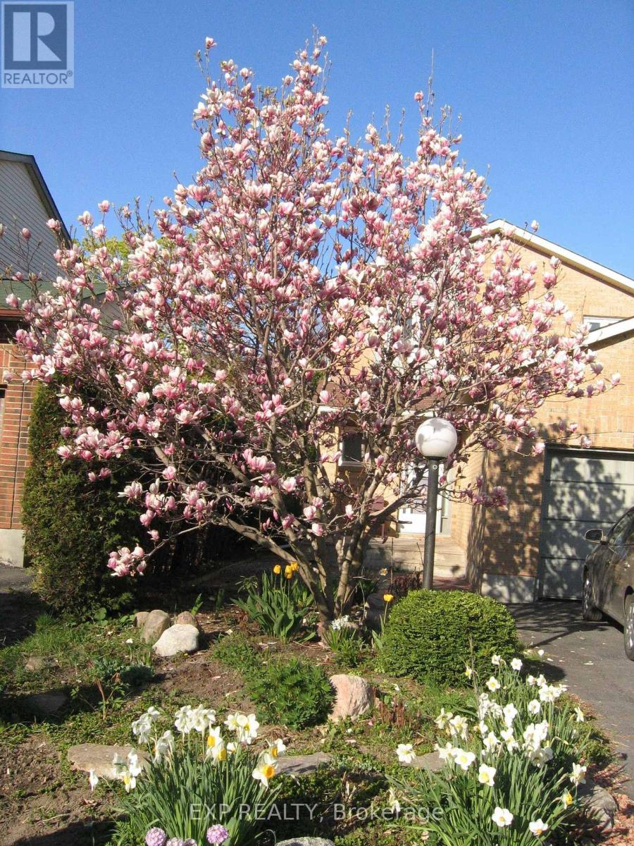 31 Coolspring Crescent