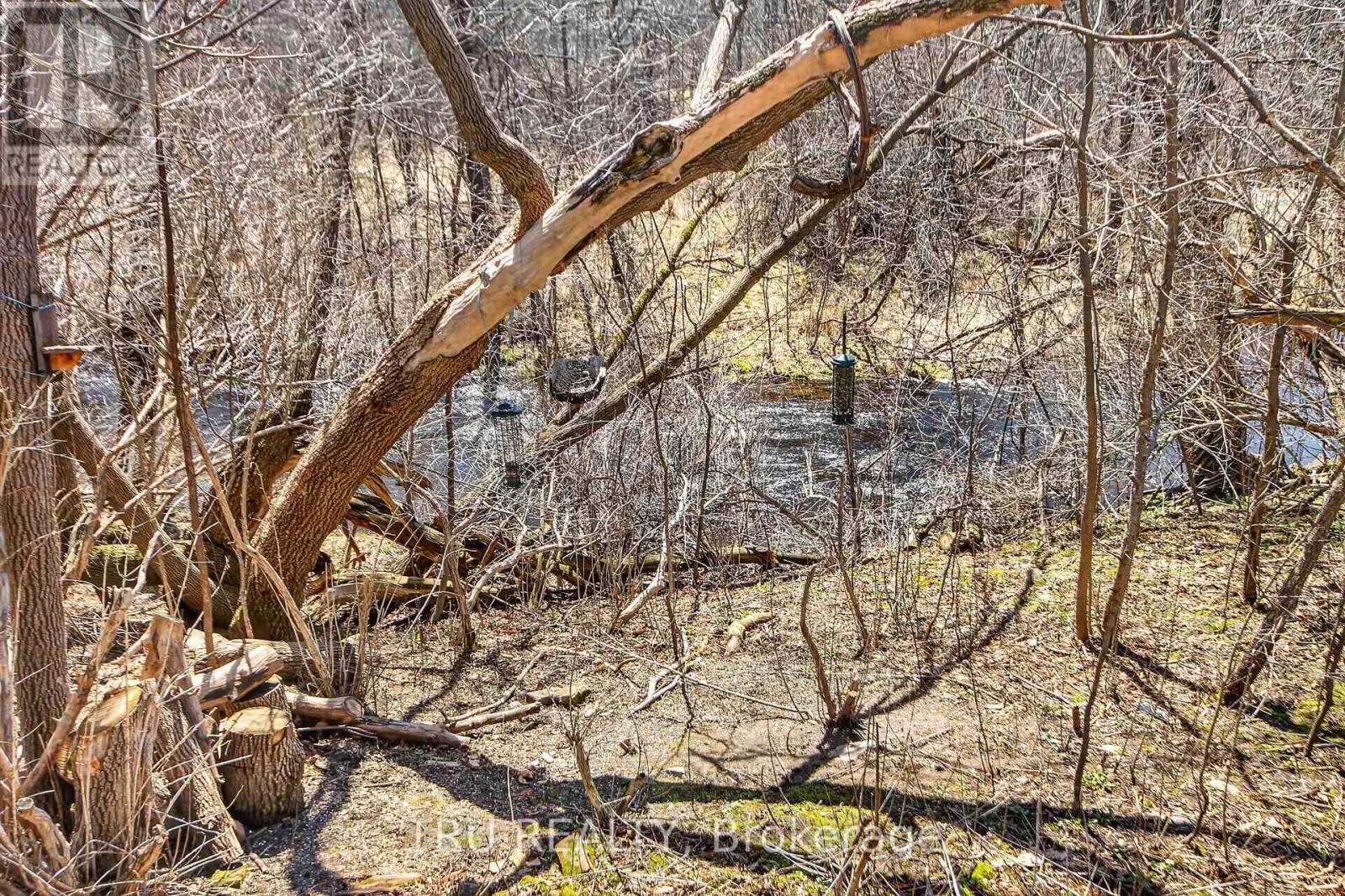 113 - 398 Van Buren Street