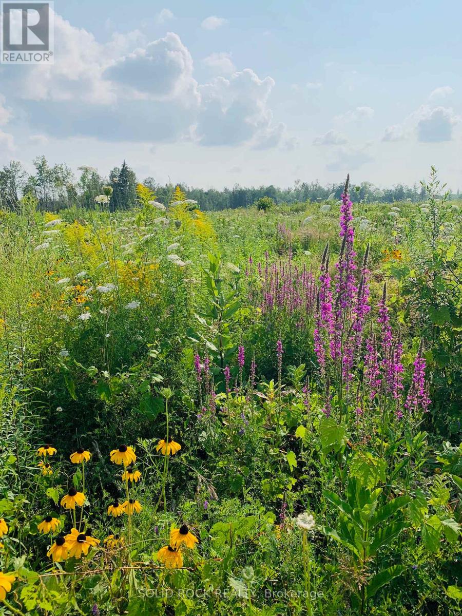 6372 Rothbourne Road