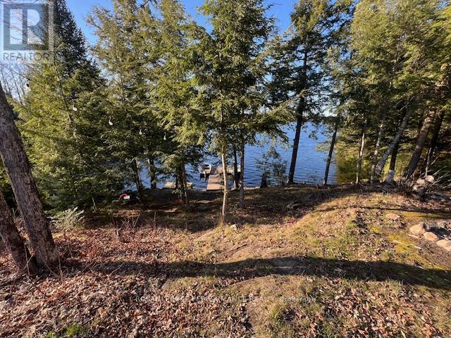 117 Raycroft Peninsula