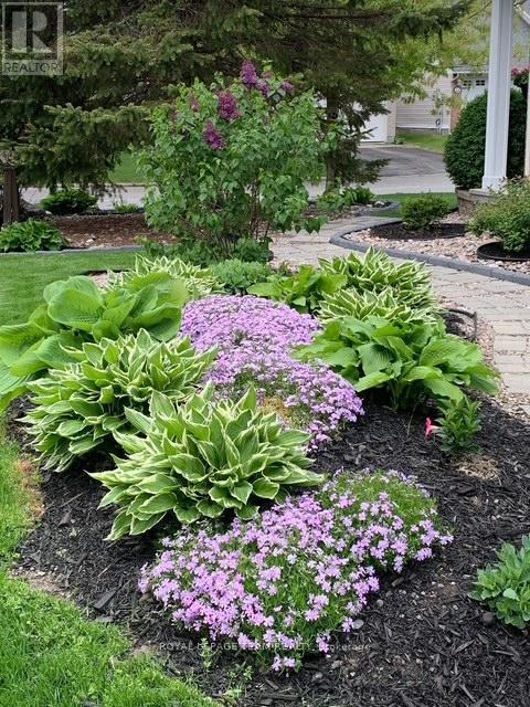 45 Burnstead Crescent