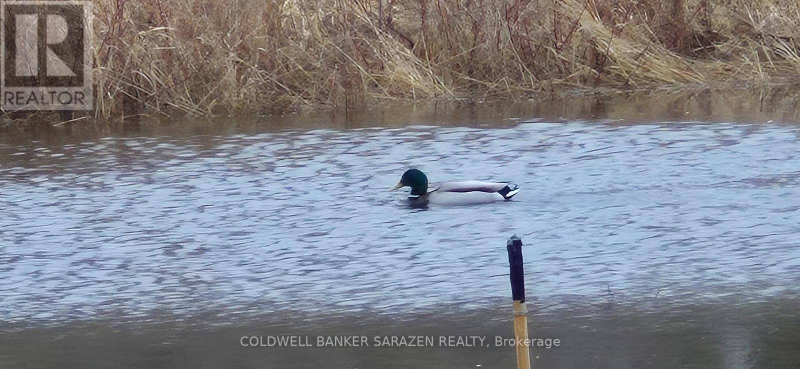 38 Paddington Private