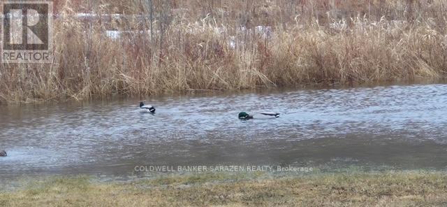 38 Paddington Private