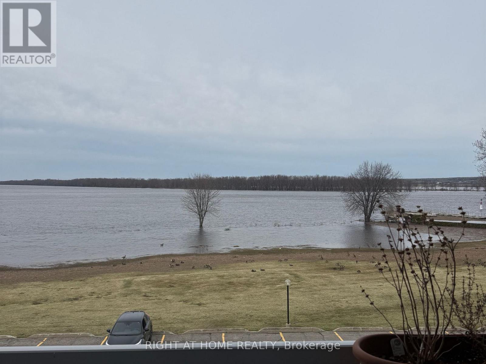 6 - 194-a Edwards Street