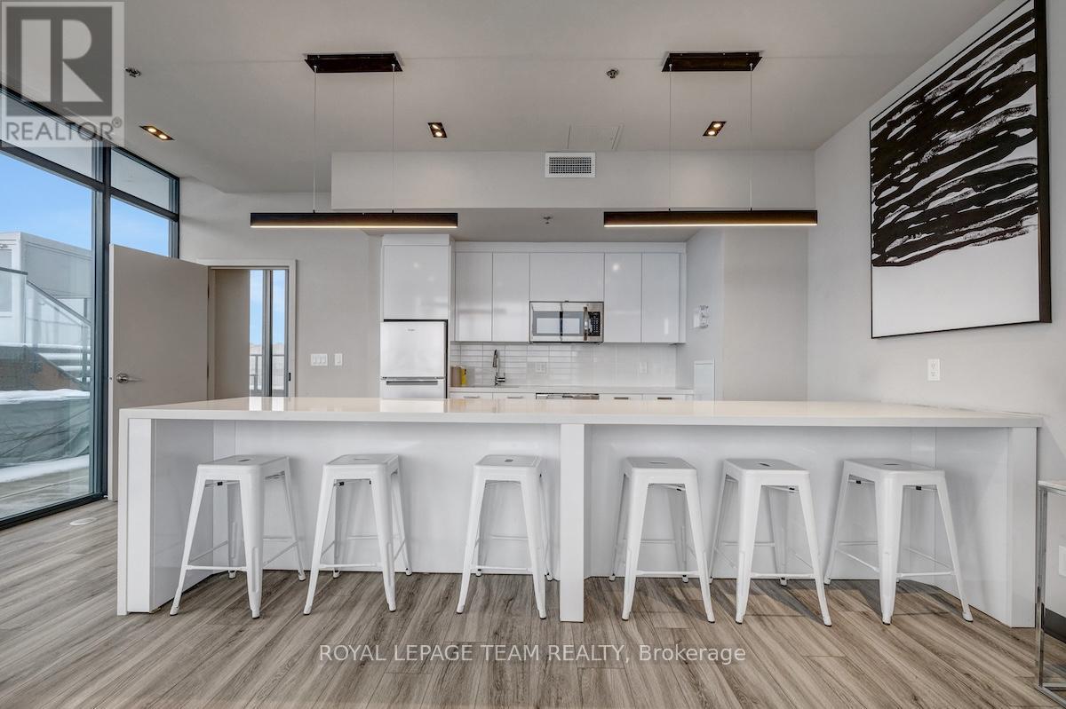 1206 - 203 Catherine Street