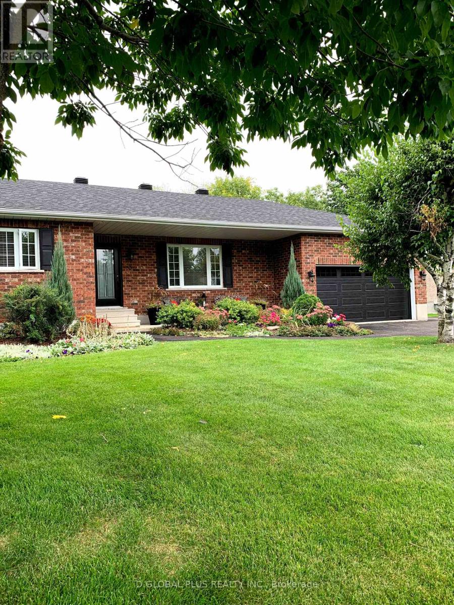 8 David Street