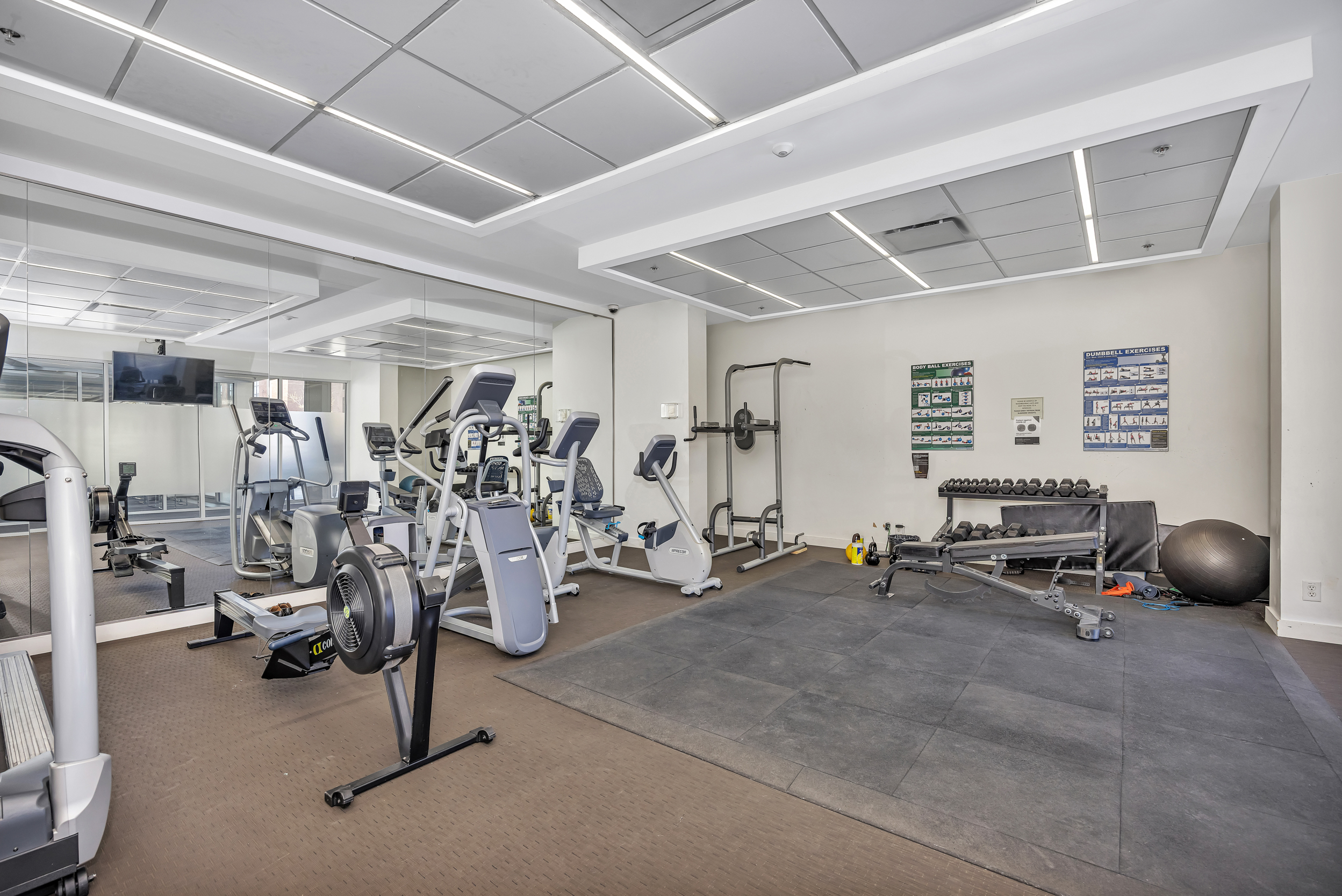 360 Mcleod Street, Unit 706