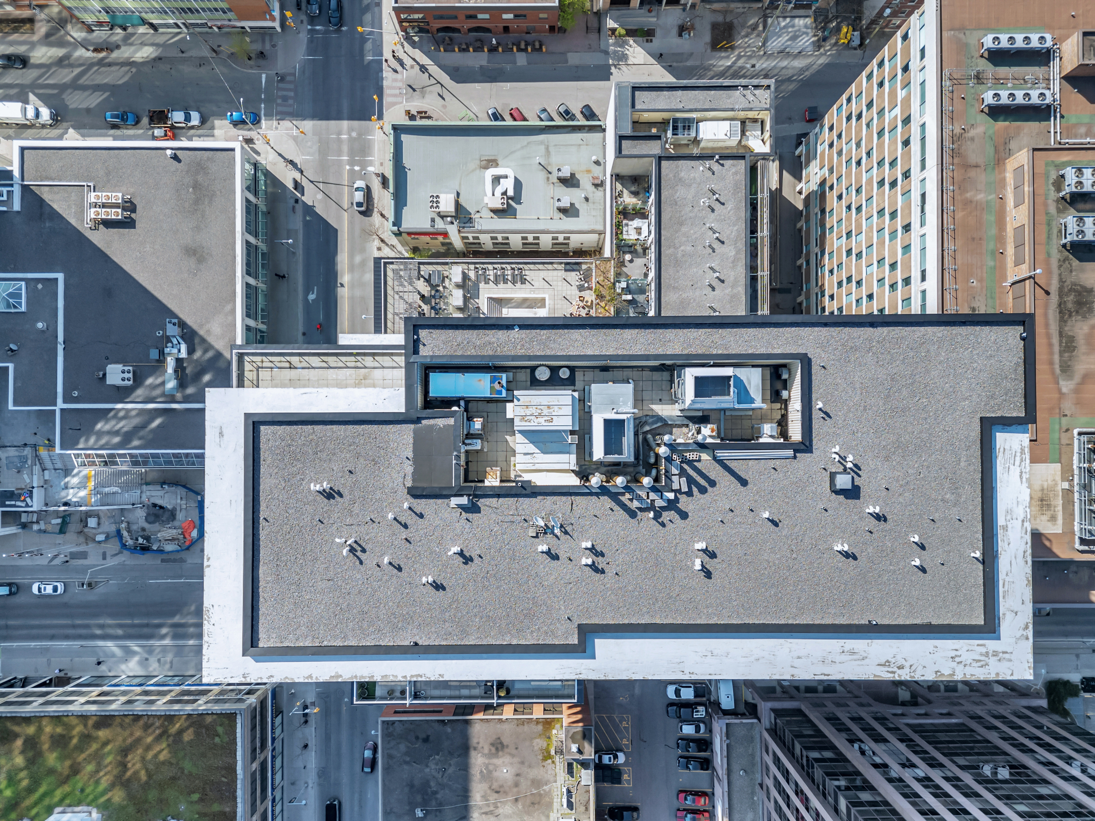 324 Laurier Avenue West, Unit 704