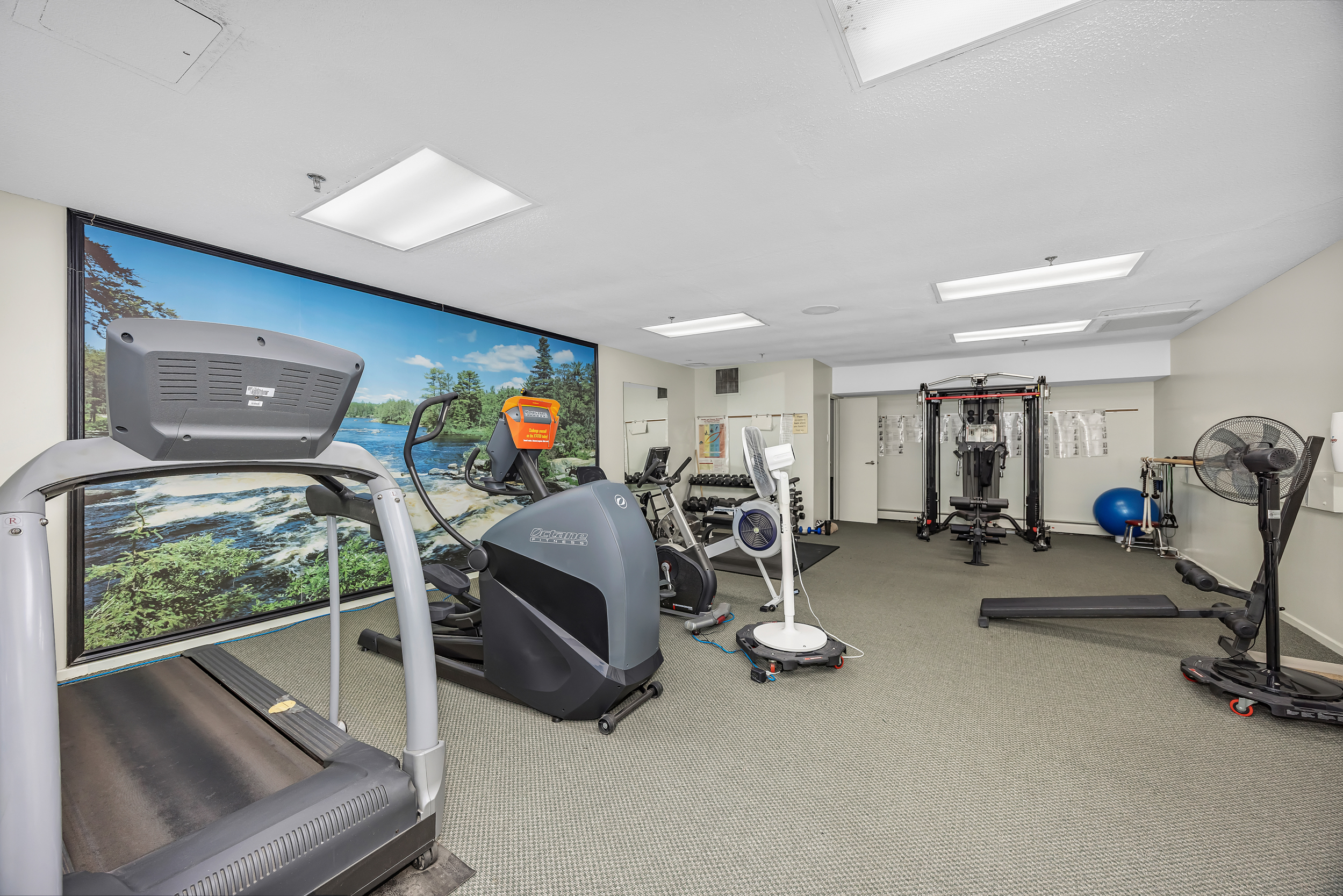 415 Greenview Avenue, Unit 106